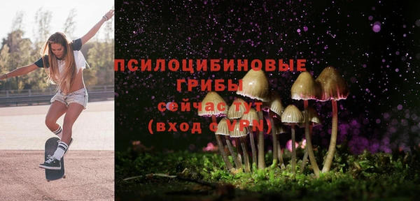 гашишное масло Богородицк