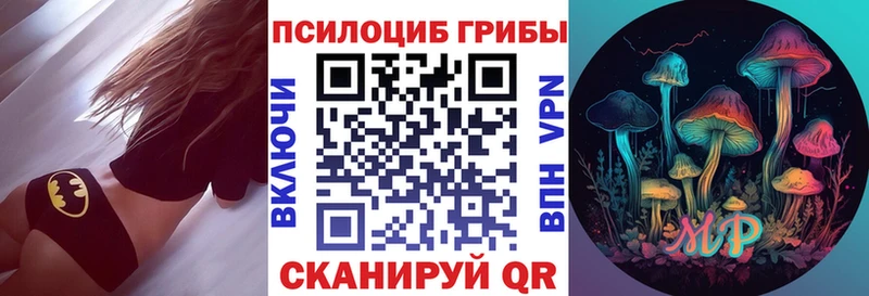Купить где  Новая Ладога  Галлюциногенные грибы Psilocybine cubensis 