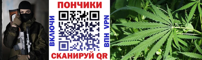 Купить закладки  Новая Ладога  Конопля OG Kush 